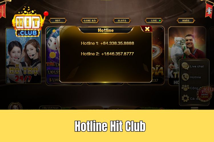 Liên hệ HitClub thông qua hệ thống Hotline